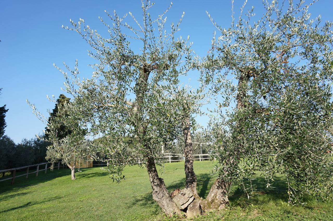 Residenza Piandaccoli Vila Lastra a Signa Exterior foto